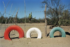 01_mex_LON81354